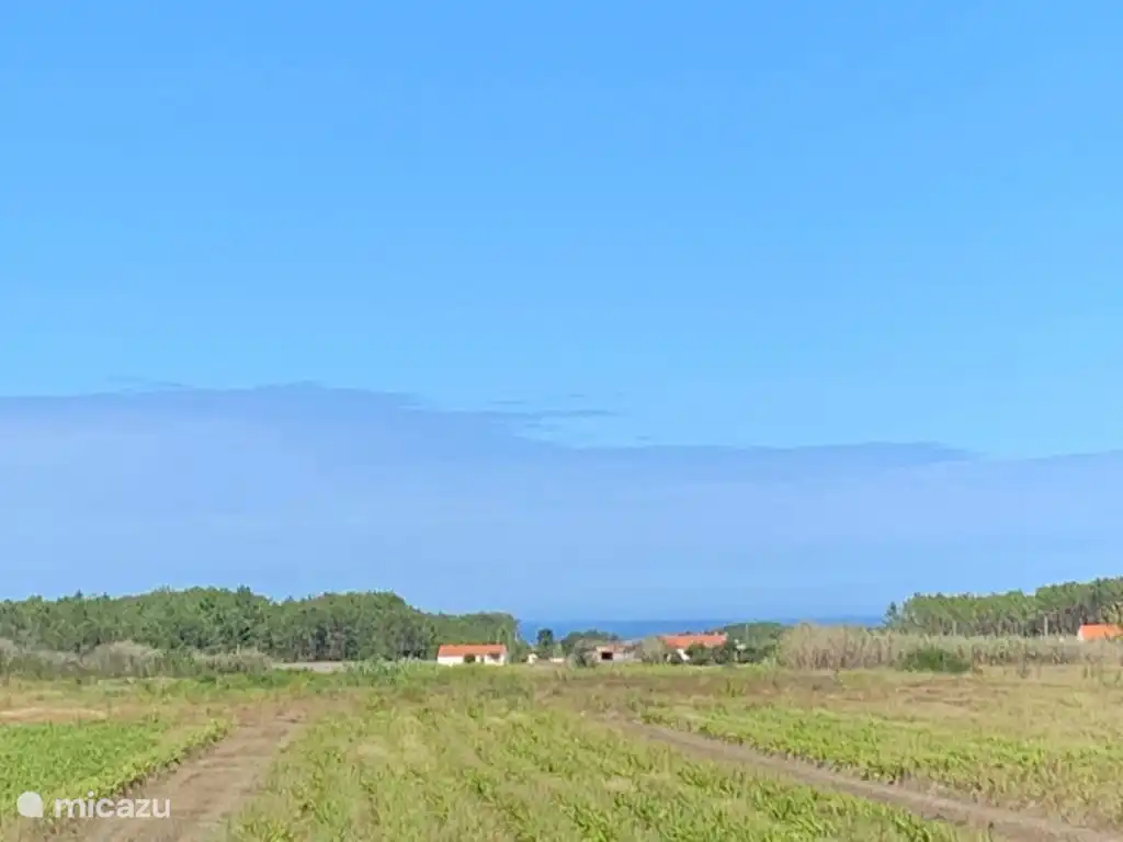 Uitzicht over de landerijen.