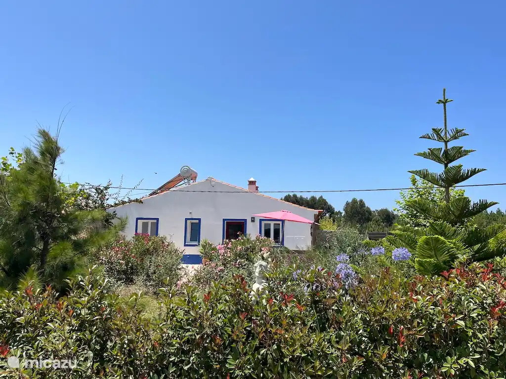 Modern vakantiehuisje landelijk huren in Portugal, Algarve, Aljezur - vakantiehuis