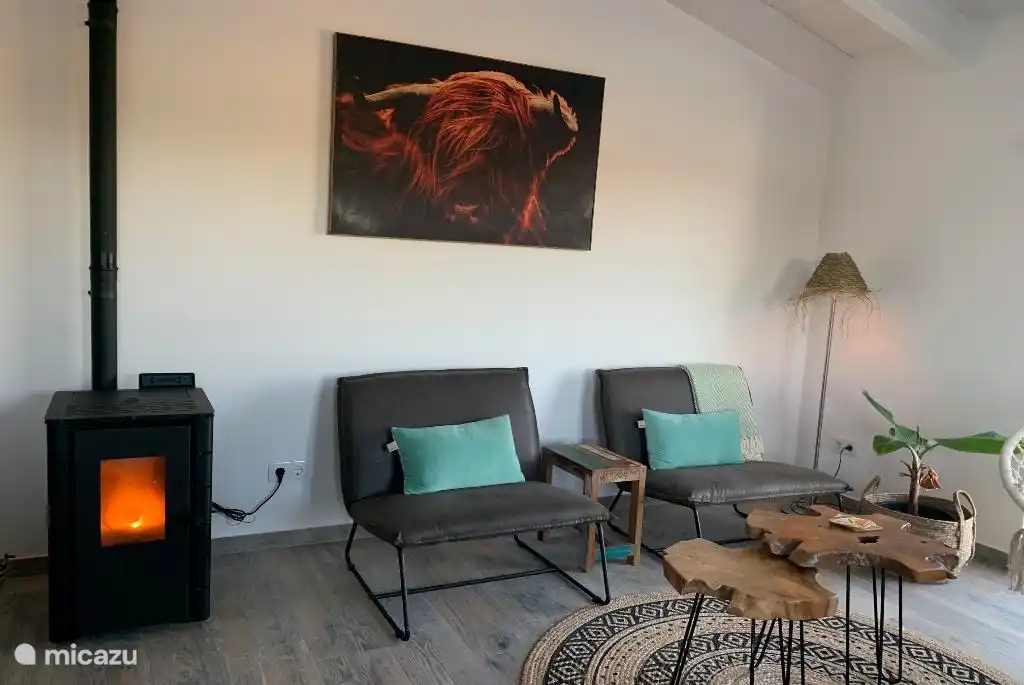 Goede pelletkachel voor de wintermaanden.
