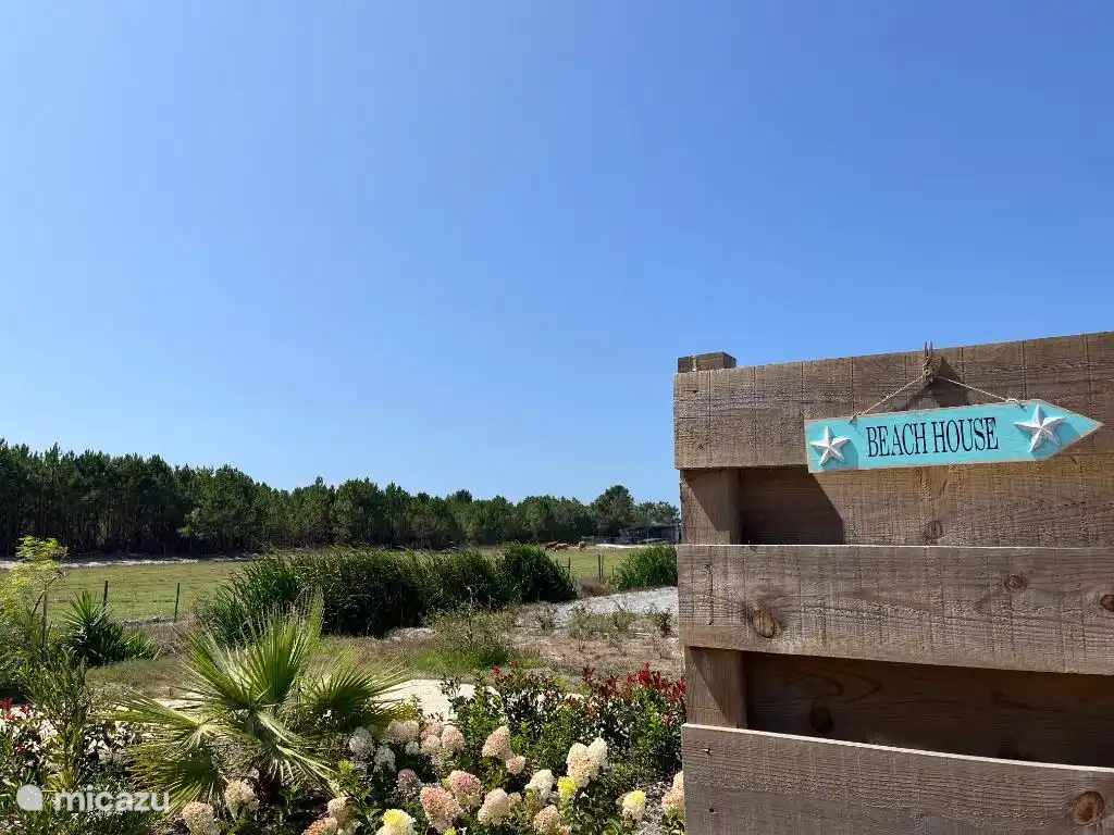 Ländliches Ferienhaus Algarve.