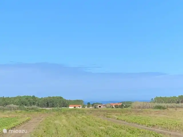 Nieuw landelijk vakantiehuis huren in Portugal, Algarve, Aljezur - vakantiehuis Uitzicht naar zee