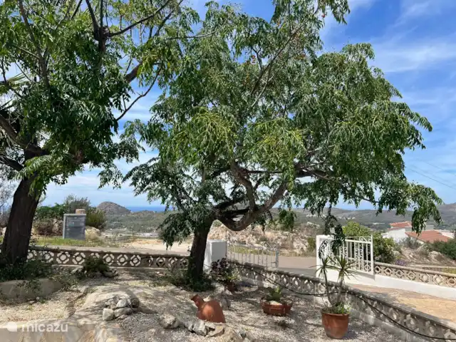 Location de Vacances Espagne, Costa Blanca, Pedreguer, chalet - Villa 'Pédreguer'