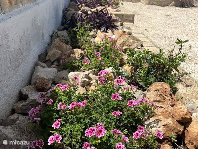 Location de Vacances Espagne, Costa Blanca, Pedreguer, chalet - Villa 'Pédreguer'