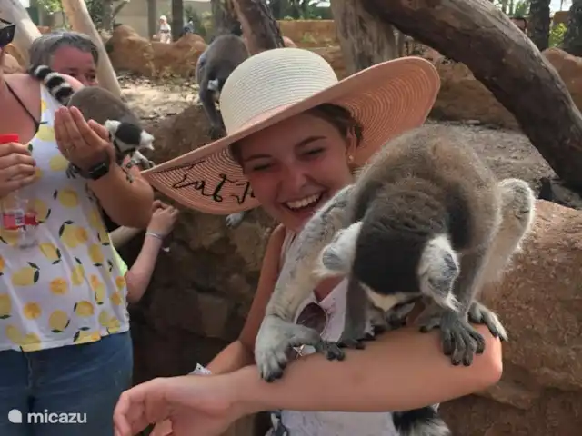 Casa Monty huren in Spanje, Costa Blanca, Torrevieja - penthouse Rio Safari - Elche