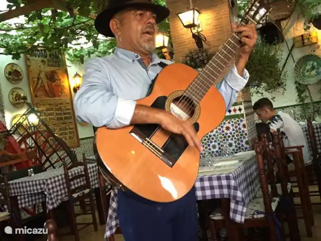 Casa Monty huren in Spanje, Costa Blanca, Torrevieja - penthouse Flamenco