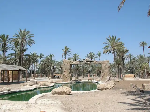 Casa Monty huren in Spanje, Costa Blanca, Torrevieja - penthouse Rio Safari