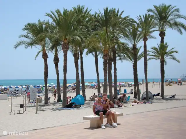 Casa Monty huren in Spanje, Costa Blanca, Torrevieja - penthouse The Beach