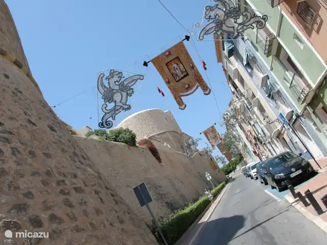 Casa Monty huren in Spanje, Costa Blanca, Torrevieja - penthouse ?