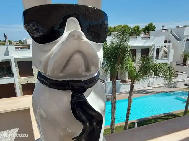 Casa Monty huren in Spanje, Costa Blanca, Torrevieja - penthouse onze Max :-)