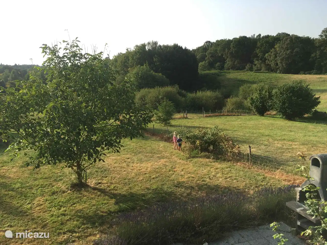 De tuin vanaf het terras, met rechtsonder een klein tuinterras met pizzaoven