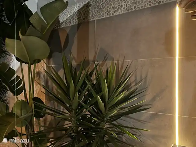 Villa Futura huren in Spanje, Costa Blanca, Benissa - villa View
