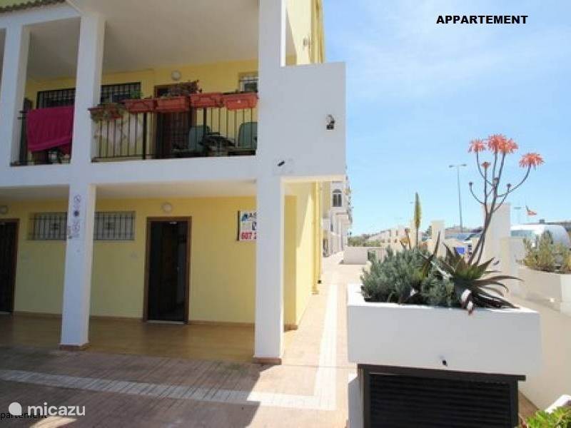Holiday home in Spain, Costa Blanca, Torrevieja Apartment Apartment la Paz