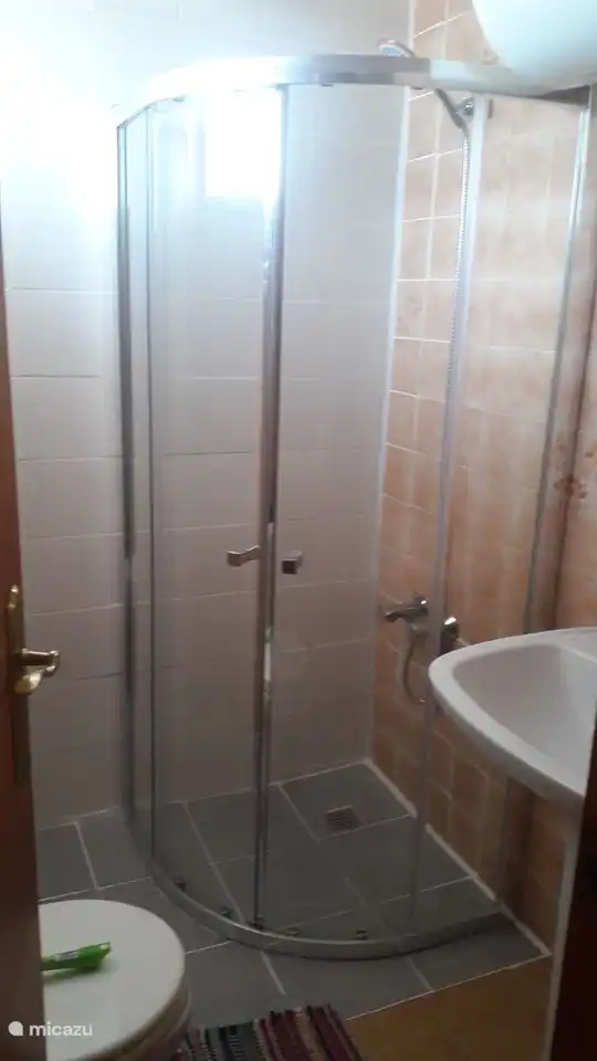 Bathroom with corner shower, sink and toilet.