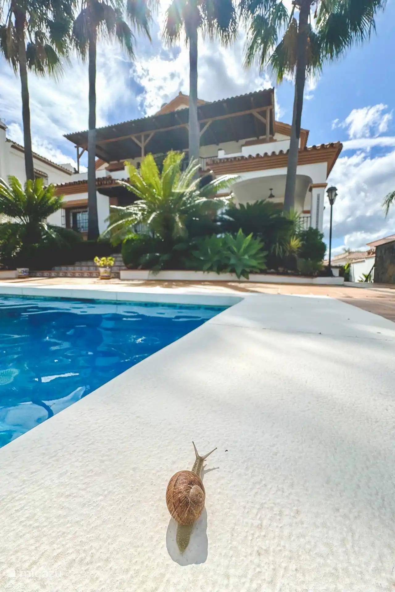 Détendez-vous à Casa Limon