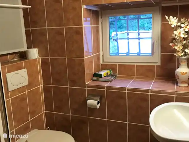 La Maison Blanche | France, Ardèche, Rompon - villa Sol de salle de bain avec cabine de douche, WC et lavabo