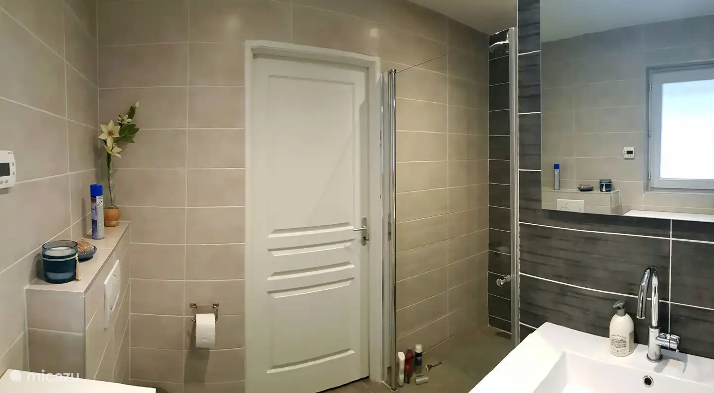 Salle de bain moderne au rez-de-chaussée avec douche à effet pluie, toilettes et lavabo extra large