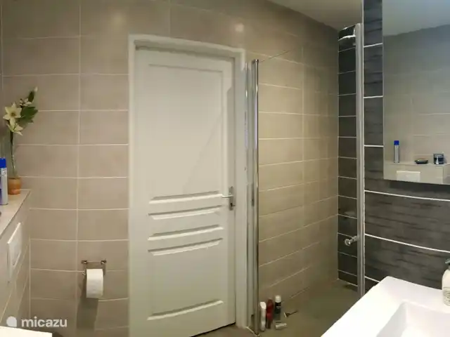 La Maison Blanche | France, Ardèche, Rompon - villa Salle de bain moderne au rez-de-chaussée avec douche à effet pluie, toilettes et lavabo extra large