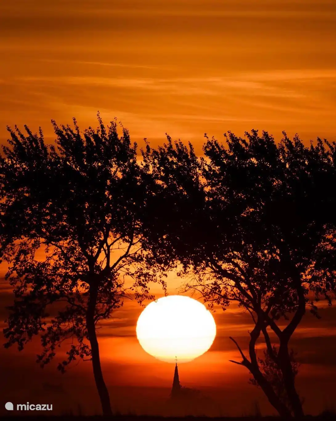 Zonsondergang omgeving Hoge Weide