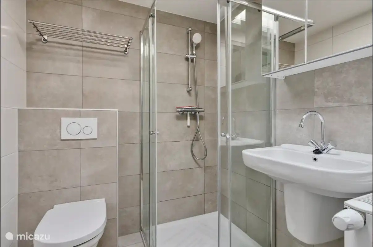 Badkamer met wc, wasbak en douche