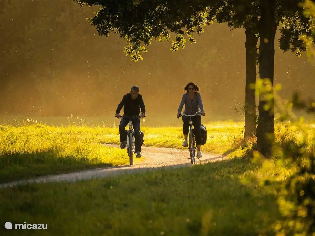 Fietsen in Oostkapelle in de Herfst