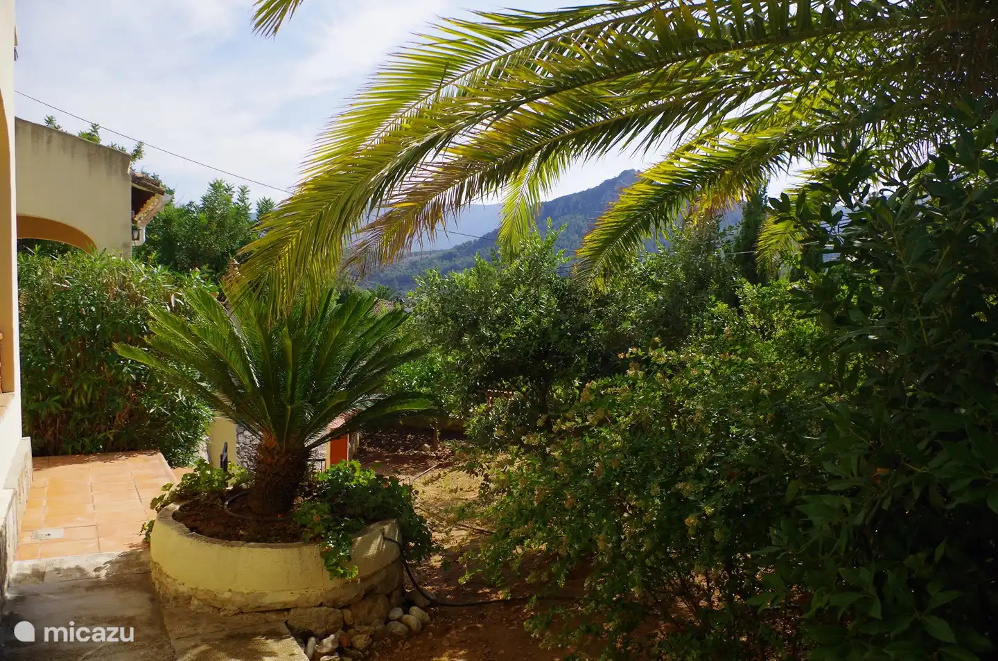 Genie&#223;en Sie die spanische Atmosph&#228;re in vollen Z&#252;gen. Gro&#223;er Garten mit viel Sonne. Naturliebhaber k&#246;nnen den Schatten der B&#228;ume genie&#223;en. Dank der Vegetation ist Casa Virginia f&#252;r alle geeignet, die Ruhe, Weite und Gelassenheit m&#246;gen.