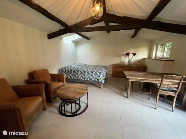 vakantiehuis huren in Frankrijk, Tarn-et-Garonne, Laguepie – Les Palmiers Gîte