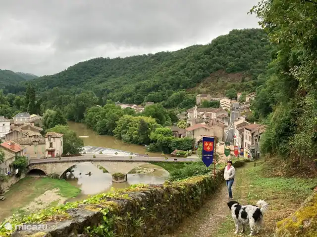 vakantiehuis huren in Frankrijk, Tarn-et-Garonne, Laguepie – Les Palmiers Laguepie