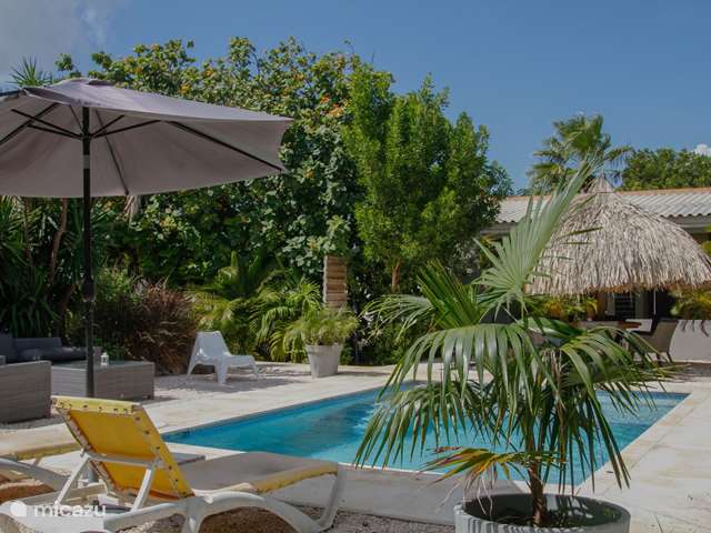 Duiken / snorkelen, Curaçao, Banda Abou (west), Grote Berg, vakantiehuis Casa Garden Oasis