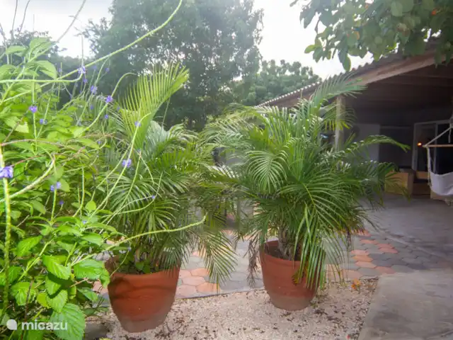 Casa Jardin Oasis | Curaçao, Banda Abou (ouest), Big Mountain - maison de vacances