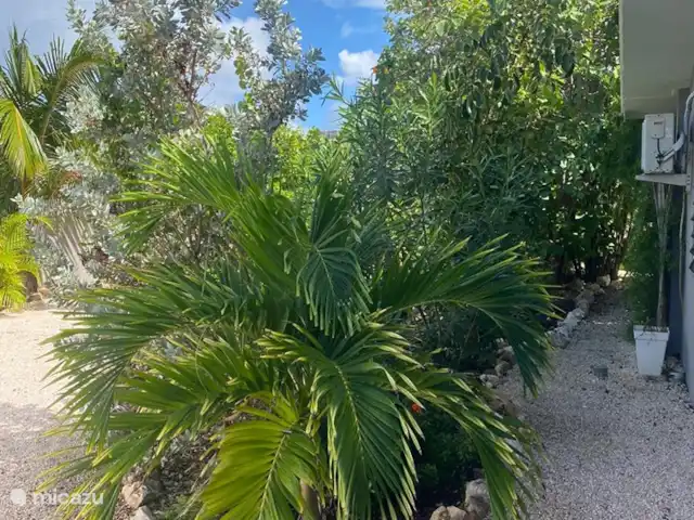 Casa Jardin Oasis | Curaçao, Banda Abou (ouest), Big Mountain - maison de vacances