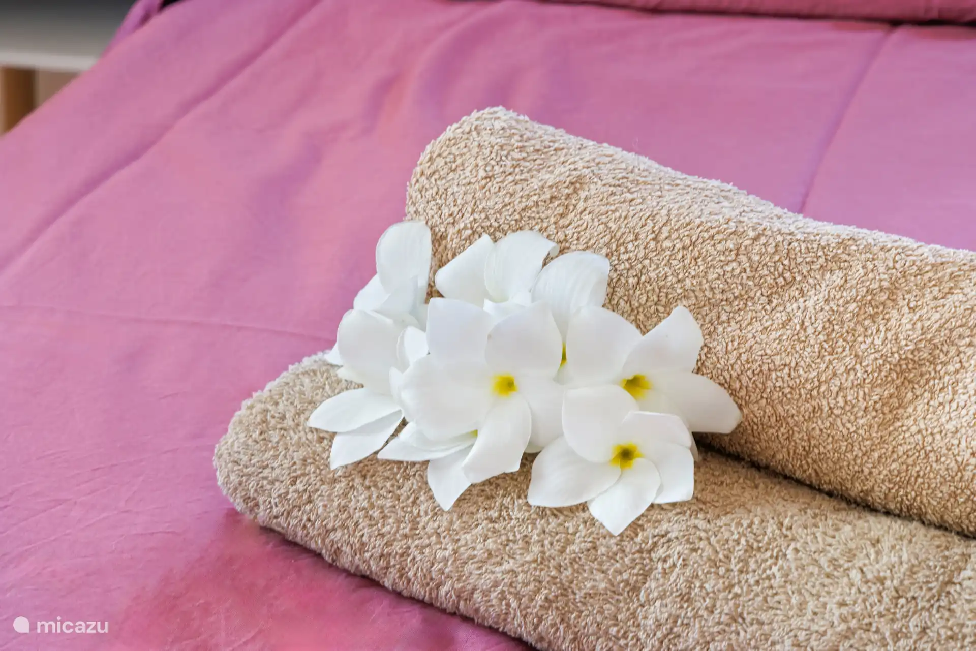 Bedlinnen en badlinnen inbegrepen.