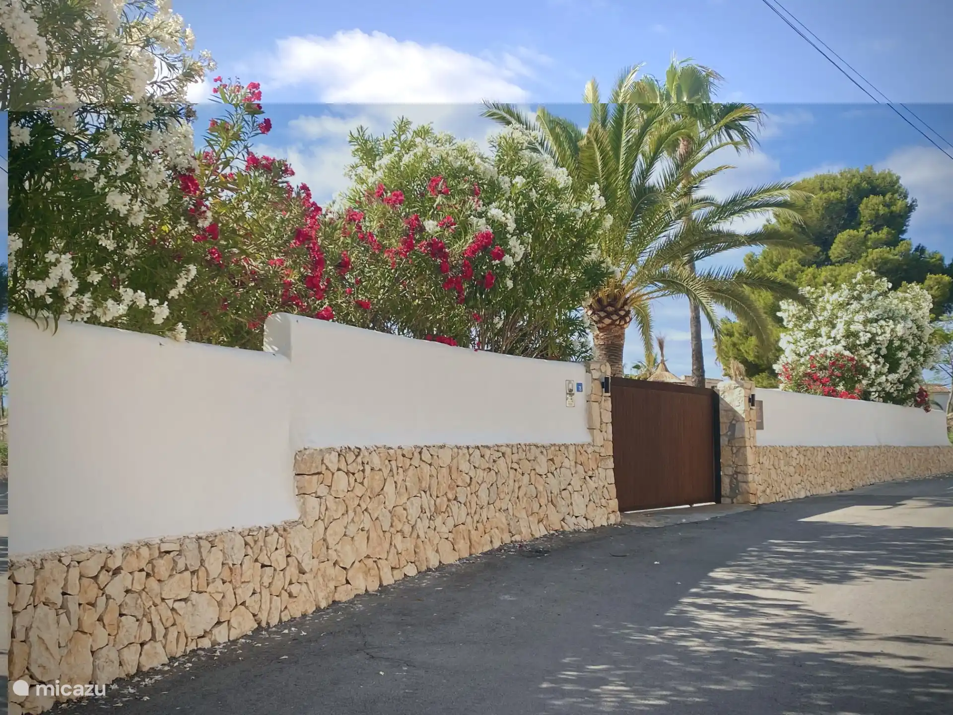 Mur de rue avec portail et plantes en fleurs