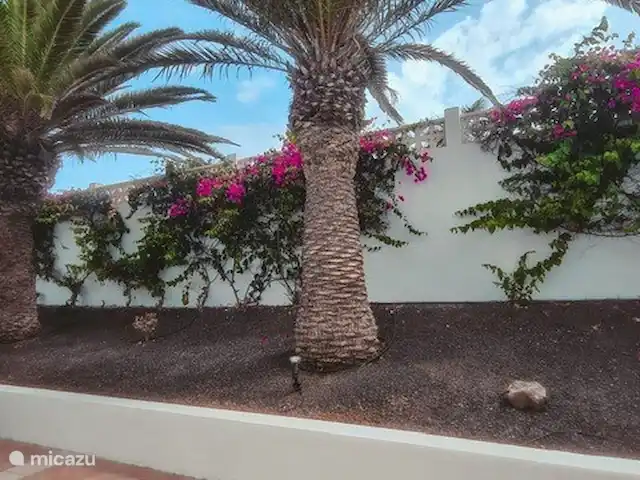 casa lisa en España, Fuerteventura, Corralejo - apartamento parque bien cuidado