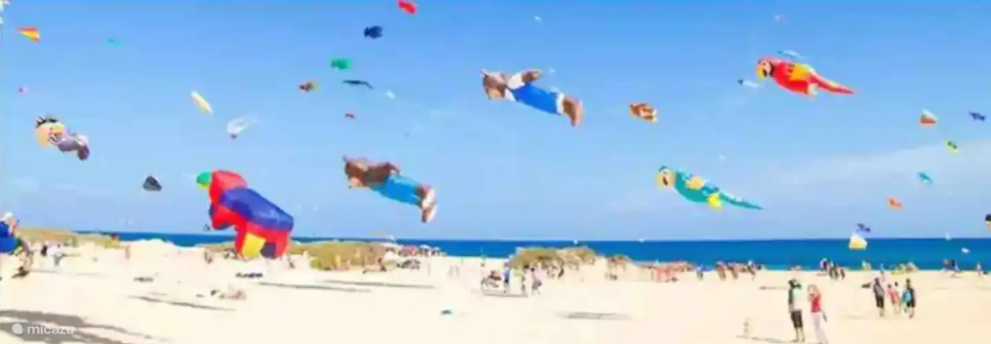 Internationales Drachenfest. 2022 wird es zum 35. Mal veranstaltet