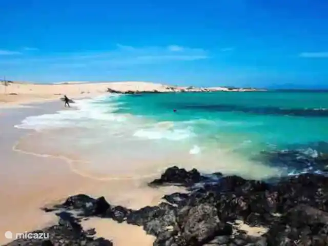 casa lisa en España, Fuerteventura, Corralejo - apartamento Hermosas playas