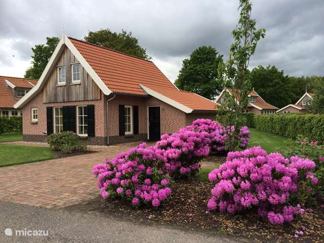 Vakantiehuis Nederland, Twente, Vriezenveen - vakantiehuis Buitenhuis de Bosuil