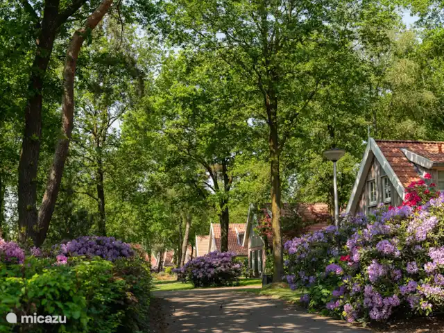 Maison de campagne Bosuil | Pays-Bas, Overijssel, Hoge Hexel - maison de vacances Parc de vacances