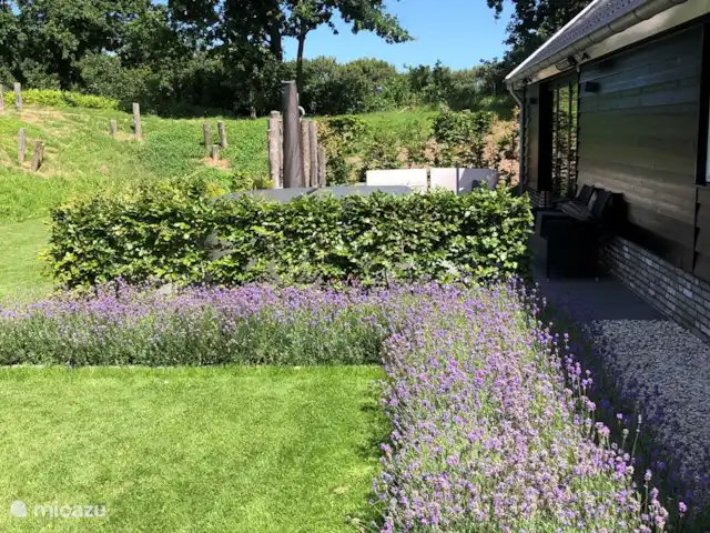 Entre les collines du vieux village | Pays-Bas, Hollande méridionale, Ouddorp - maison de vacances Vue depuis le jardin