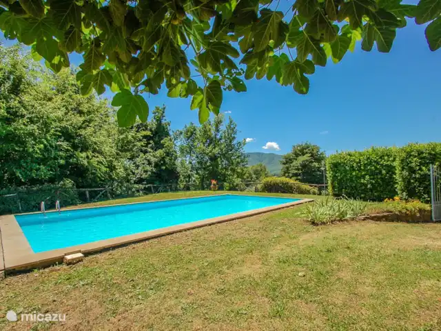 Toscane - maison avec piscine privée | Italie, Toscane, Villa Collemandina - villa