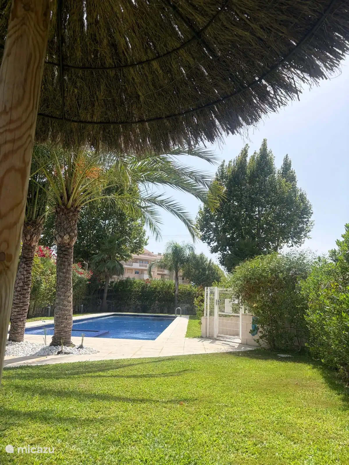 Beau jardin au bord de la piscine avec parasols fixes