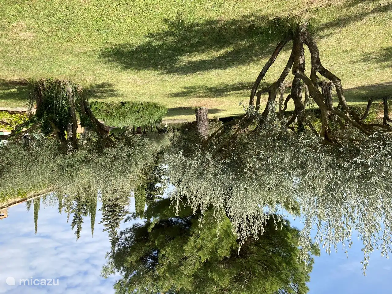Der ganze Platz im Garten mit Olivenbäumen