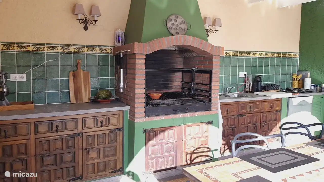 Die Außenküche ist komplett ausgestattet (Grill, Gasfeuer, Kühl-/Gefrierkombination, Geschirrspüler, Kaffeemaschine, Geschirr, ...)