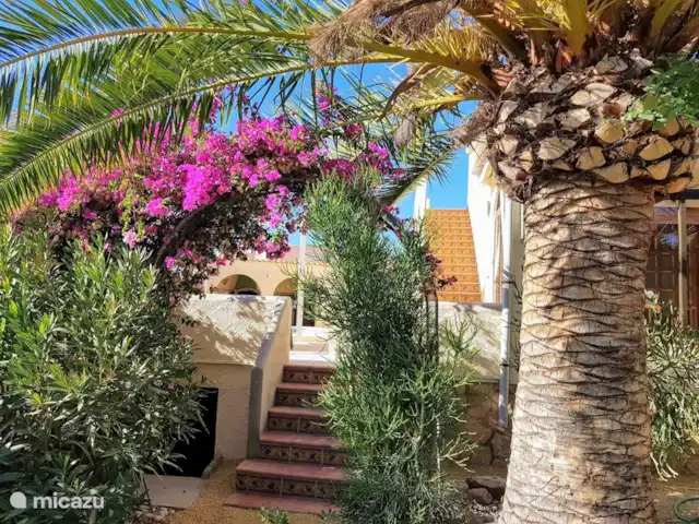 Casa Mi Pajobe (2 chambres/max 4 pers) | Espagne, Costa Blanca, Benidorm - villa du jardin, vous pouvez prendre un escalier vers la piscine. Cela peut être fermé avec une porte