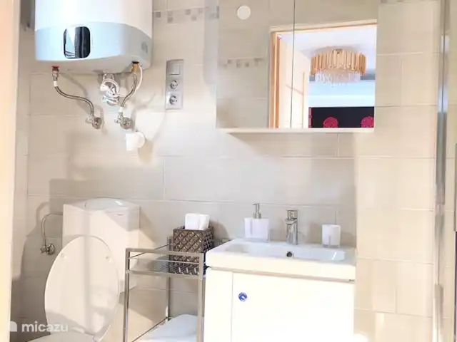 Fietsen, Hongarije, Gyor-Moson-Sopron, Fertőrákos, tiny house Superior Tinyhouse aan Neusiedlersee badkamer