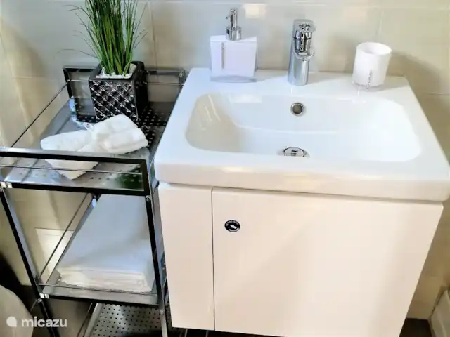 Fietsen, Hongarije, Gyor-Moson-Sopron, Fertőrákos, tiny house Superior Tinyhouse aan Neusiedlersee Wastafel in de badkamer