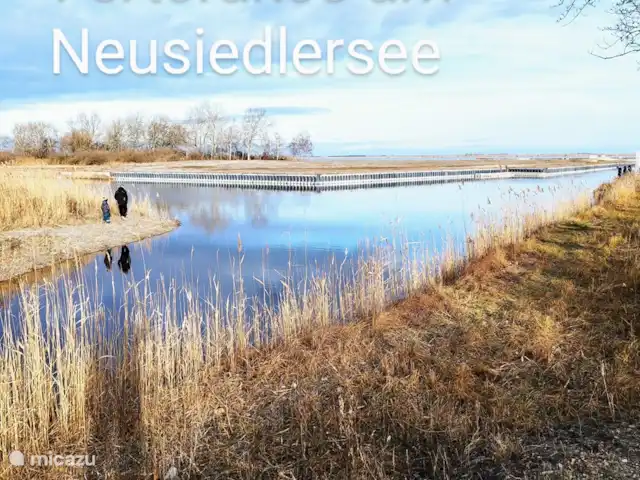 Fietsen, Hongarije, Gyor-Moson-Sopron, Fertőrákos, tiny house Superior Tinyhouse aan Neusiedlersee Fertorakos-strand