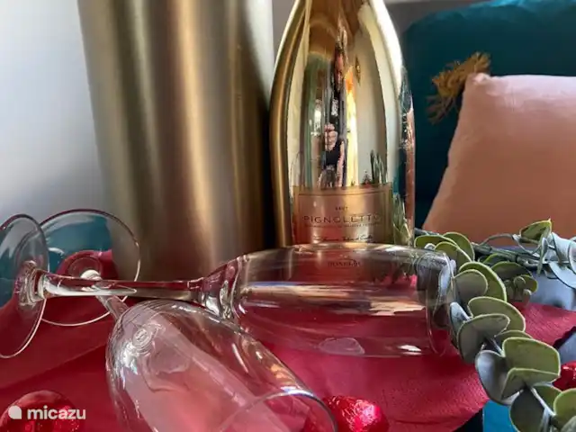 Noxem bnb Scandinavian huren in Nederland, Noord-Holland, Boesingheliede - bed & breakfast Je geliefde verrassen met een flesje bubbels of liever een chocolade fondue? Ook dit is extra bij te boeken.