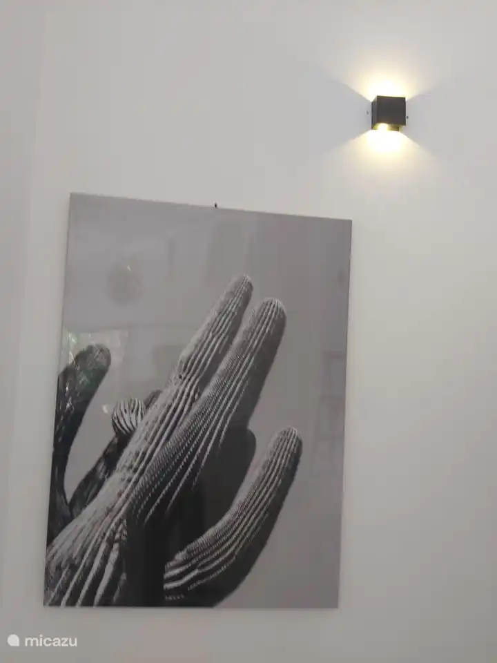 Casi del mismo tamaño que un cactus real en la isla.