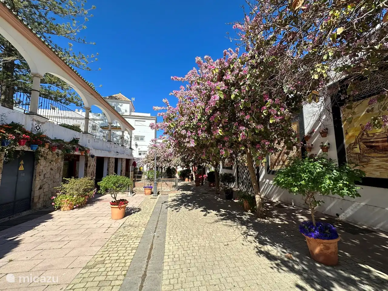Beautiful streets in Estepona