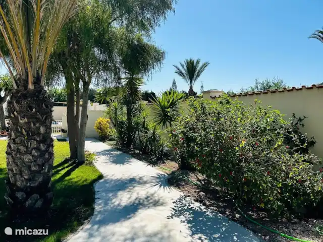 A Casa Mimosa | Espagne, Costa Blanca, Elche - villa Côté jardin